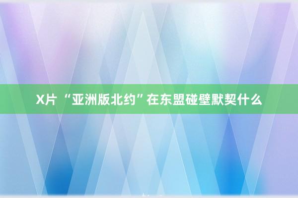 X片 “亚洲版北约”在东盟碰壁默契什么