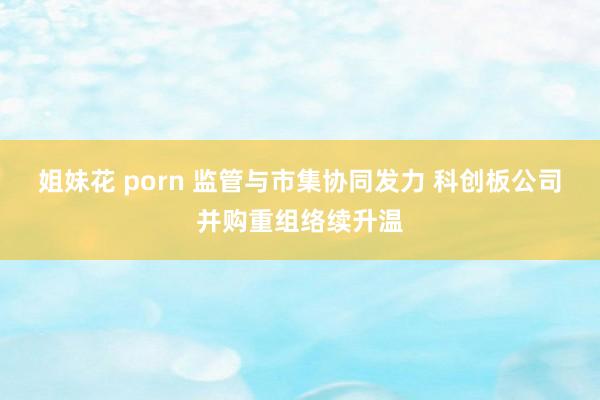 姐妹花 porn 监管与市集协同发力 科创板公司并购重组络续升温