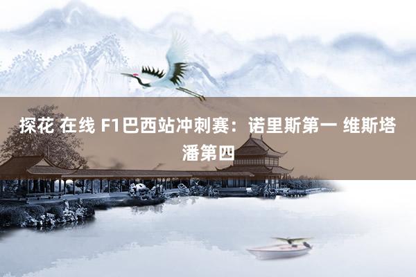 探花 在线 F1巴西站冲刺赛：诺里斯第一 维斯塔潘第四