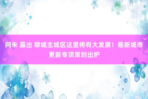 阿朱 露出 聊城主城区这里将有大发展！最新城市更新专项策划出炉