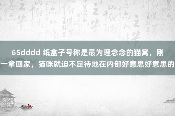 65dddd 纸盒子号称是最为理念念的猫窝，刚一拿回家，猫咪就迫不足待地在内部好意思好意思的