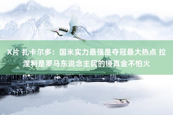 X片 扎卡尔多：国米实力最强是夺冠最大热点 拉涅利是罗马东说念主民的锤真金不怕火