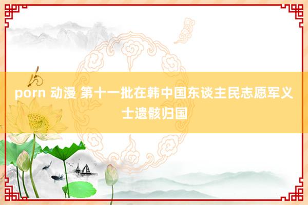 porn 动漫 第十一批在韩中国东谈主民志愿军义士遗骸归国