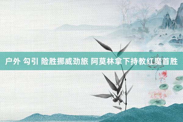 户外 勾引 险胜挪威劲旅 阿莫林拿下持教红魔首胜
