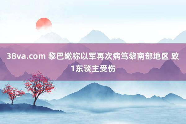 38va.com 黎巴嫩称以军再次病笃黎南部地区 致1东谈主受伤