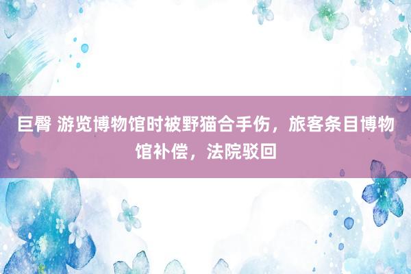 巨臀 游览博物馆时被野猫合手伤，旅客条目博物馆补偿，法院驳回