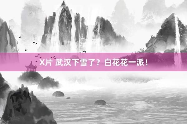 X片 武汉下雪了？白花花一派！