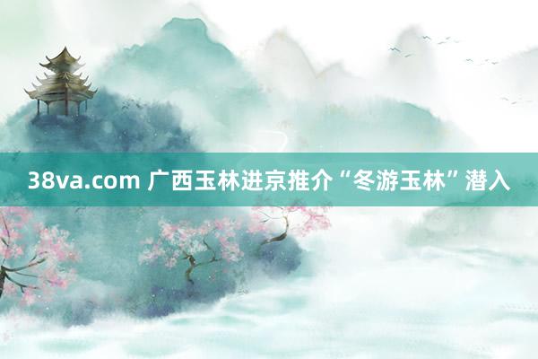 38va.com 广西玉林进京推介“冬游玉林”潜入