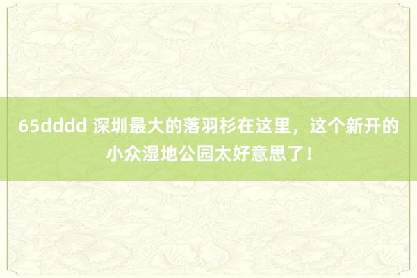 65dddd 深圳最大的落羽杉在这里，这个新开的小众湿地公园太好意思了！