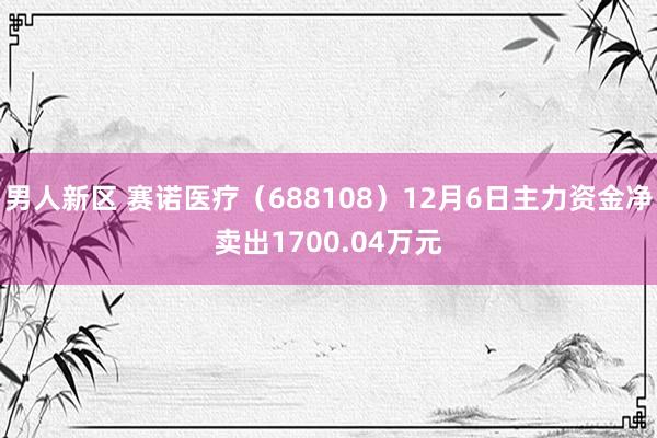 男人新区 赛诺医疗（688108）12月6日主力资金净卖出1700.04万元