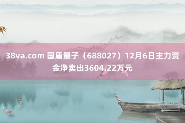 38va.com 国盾量子（688027）12月6日主力资金净卖出3604.22万元