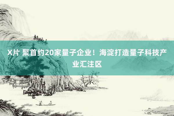 X片 聚首约20家量子企业！海淀打造量子科技产业汇注区