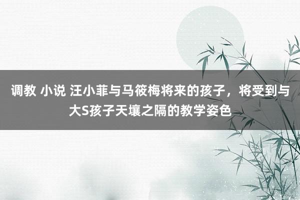 调教 小说 汪小菲与马筱梅将来的孩子，将受到与大S孩子天壤之隔的教学姿色