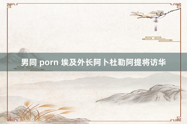 男同 porn 埃及外长阿卜杜勒阿提将访华