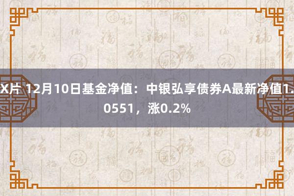 X片 12月10日基金净值：中银弘享债券A最新净值1.0551，涨0.2%