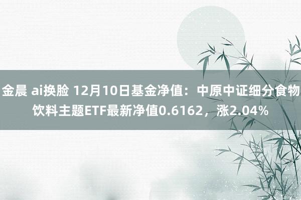 金晨 ai换脸 12月10日基金净值：中原中证细分食物饮料主题ETF最新净值0.6162，涨2.04%