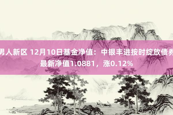 男人新区 12月10日基金净值：中银丰进按时绽放债券最新净值1.0881，涨0.12%