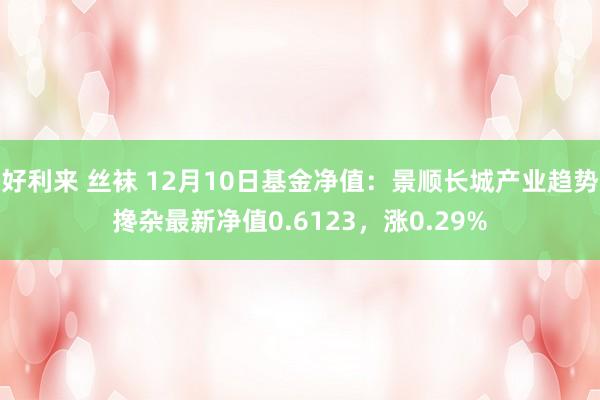 好利来 丝袜 12月10日基金净值：景顺长城产业趋势搀杂最新净值0.6123，涨0.29%