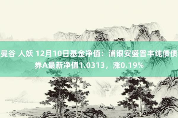 曼谷 人妖 12月10日基金净值：浦银安盛普丰纯债债券A最新净值1.0313，涨0.19%