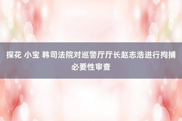 探花 小宝 韩司法院对巡警厅厅长赵志浩进行拘捕必要性审查