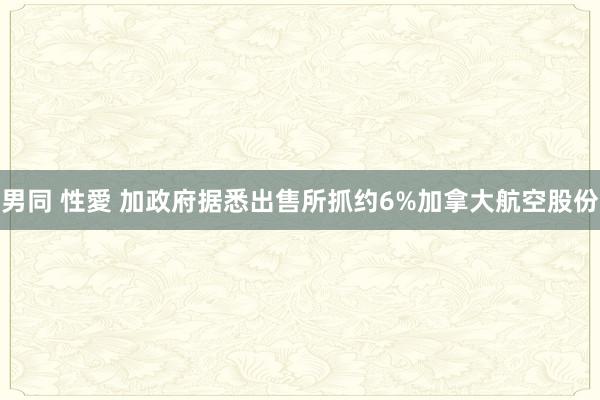 男同 性愛 加政府据悉出售所抓约6%加拿大航空股份