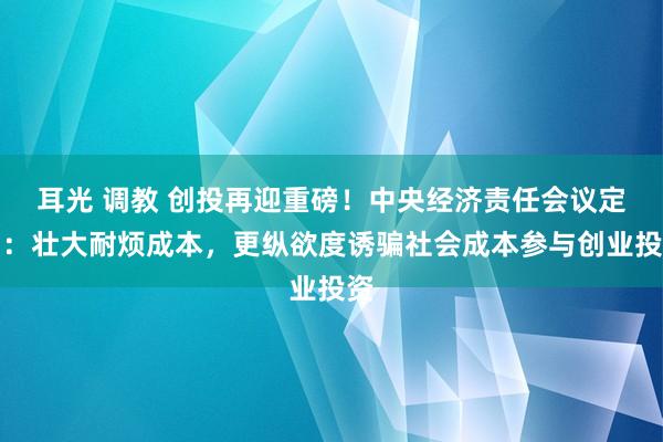 耳光 调教 创投再迎重磅！中央经济责任会议定调：壮大耐烦成本，更纵欲度诱骗社会成本参与创业投资