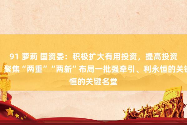 91 萝莉 国资委：积极扩大有用投资，提高投资效益，聚焦“两重”“两新”布局一批强牵引、利永恒的关键名堂