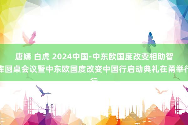 唐嫣 白虎 2024中国-中东欧国度改变相助智库圆桌会议暨中东欧国度改变中国行启动典礼在甬举行