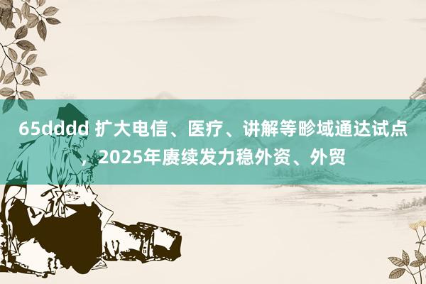 65dddd 扩大电信、医疗、讲解等畛域通达试点，2025年赓续发力稳外资、外贸