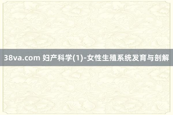 38va.com 妇产科学(1)-女性生殖系统发育与剖解