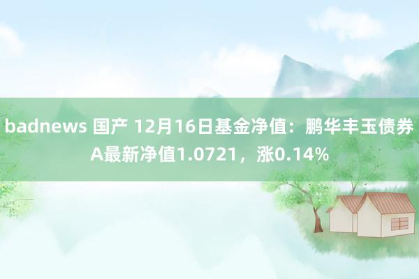 badnews 国产 12月16日基金净值：鹏华丰玉债券A最新净值1.0721，涨0.14%