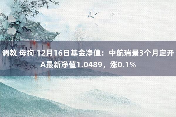 调教 母狗 12月16日基金净值：中航瑞景3个月定开A最新净值1.0489，涨0.1%