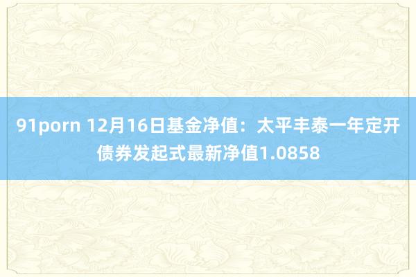 91porn 12月16日基金净值：太平丰泰一年定开债券发起式最新净值1.0858