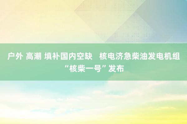 户外 高潮 填补国内空缺   核电济急柴油发电机组“核柴一号”发布