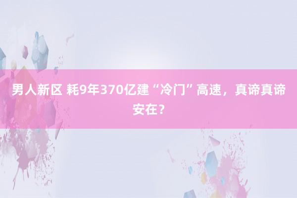 男人新区 耗9年370亿建“冷门”高速，真谛真谛安在？