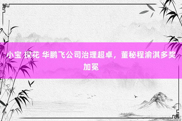 小宝 探花 华鹏飞公司治理超卓，董秘程渝淇多奖加冕