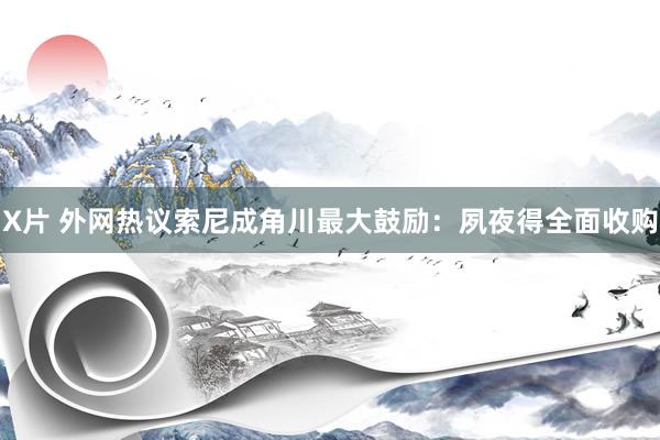 X片 外网热议索尼成角川最大鼓励：夙夜得全面收购