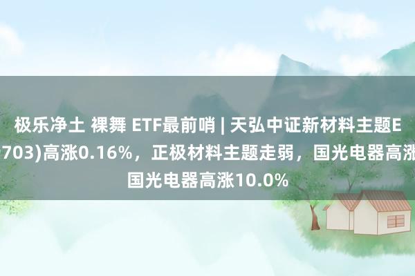 极乐净土 裸舞 ETF最前哨 | 天弘中证新材料主题ETF(159703)高涨0.16%，正极材料主题走弱，国光电器高涨10.0%