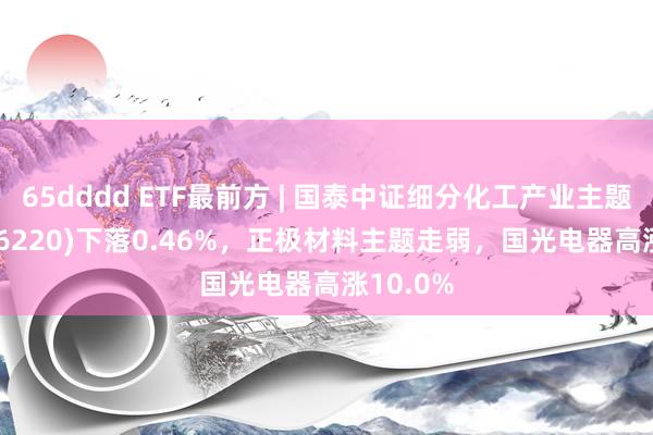 65dddd ETF最前方 | 国泰中证细分化工产业主题ETF(516220)下落0.46%，正极材料主题走弱，国光电器高涨10.0%