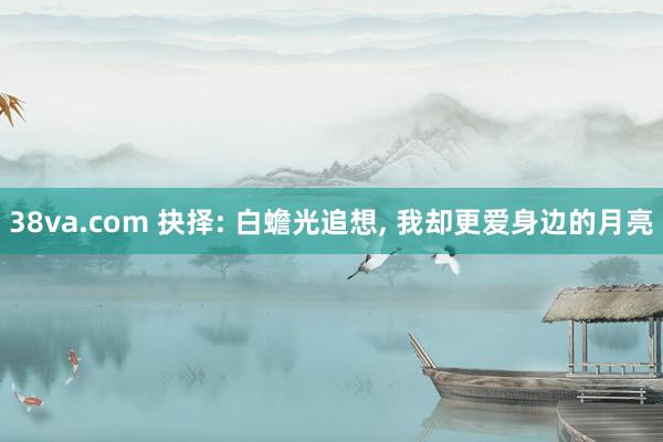 38va.com 抉择: 白蟾光追想， 我却更爱身边的月亮