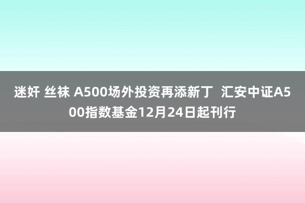 迷奸 丝袜 A500场外投资再添新丁  汇安中证A500指数基金12月24日起刊行