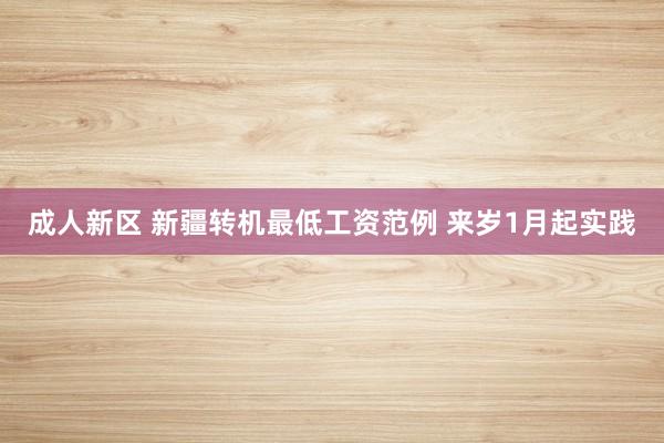 成人新区 新疆转机最低工资范例 来岁1月起实践