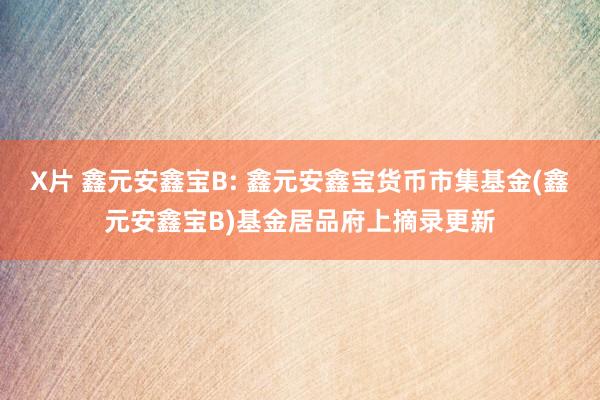 X片 鑫元安鑫宝B: 鑫元安鑫宝货币市集基金(鑫元安鑫宝B)基金居品府上摘录更新