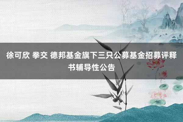 徐可欣 拳交 德邦基金旗下三只公募基金招募评释书辅导性公告
