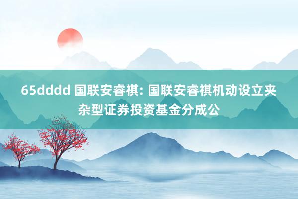 65dddd 国联安睿祺: 国联安睿祺机动设立夹杂型证券投资基金分成公