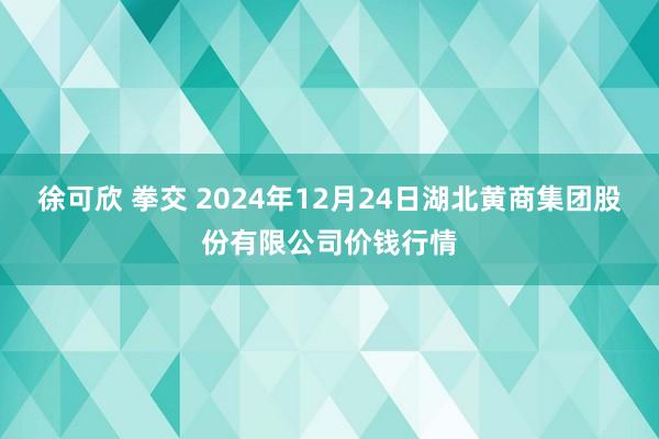 徐可欣 拳交 2024年12月24日湖北黄商集团股份有限公司价钱行情