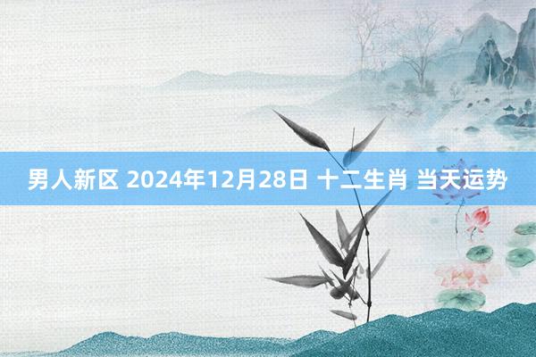 男人新区 2024年12月28日 十二生肖 当天运势