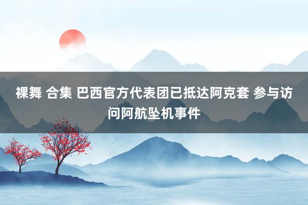 裸舞 合集 巴西官方代表团已抵达阿克套 参与访问阿航坠机事件