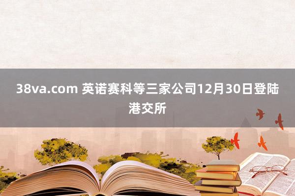 38va.com 英诺赛科等三家公司12月30日登陆港交所