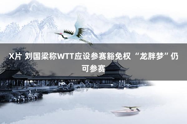 X片 刘国梁称WTT应设参赛豁免权 “龙胖梦”仍可参赛